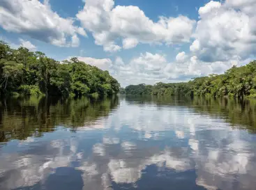 Carbon Finance & Green Economy